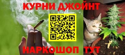 ГАЛЛЮЦИНОГЕННЫЕ ГРИБЫ Кандалакша