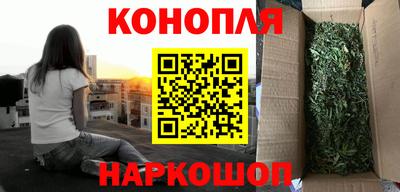 тгк Канаш