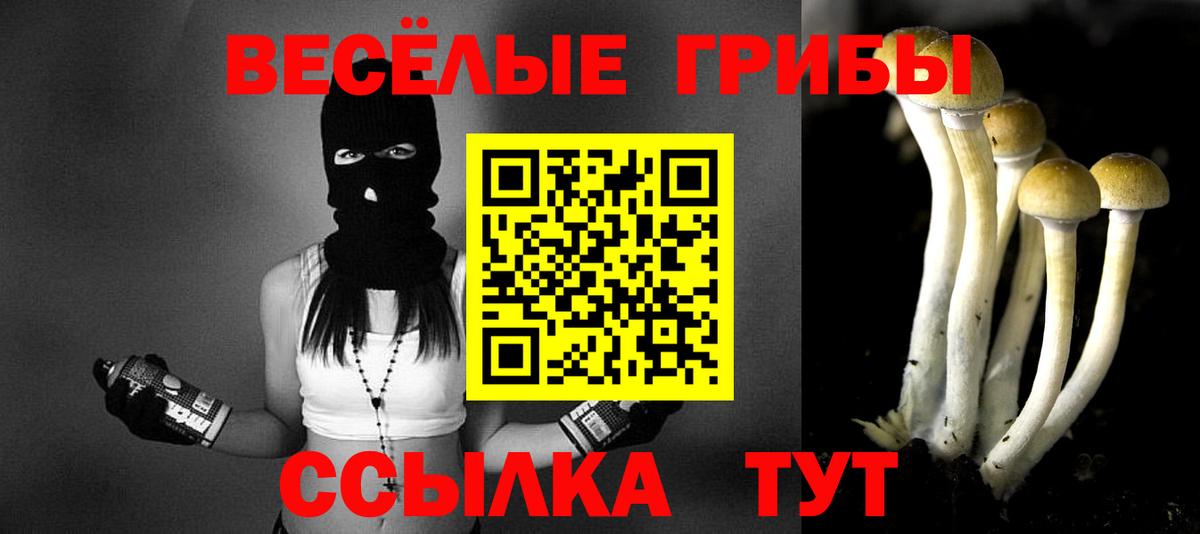 Галлюциногенные грибы ЛСД  Вход с VPN  Красный Сулин 